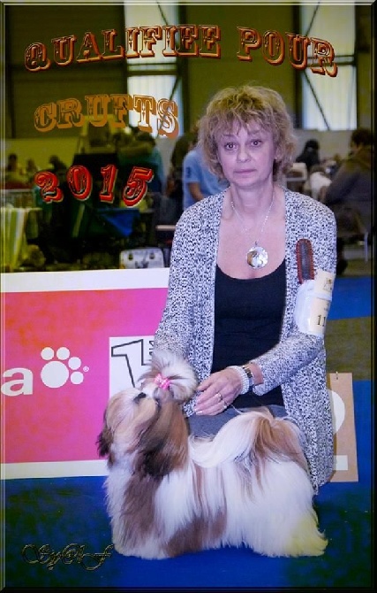 von Lao Tingri - Malika à l'expo à Genève le 15./16.11.2014