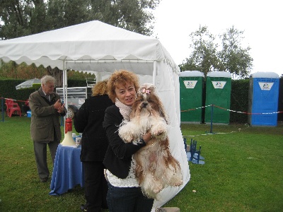 von Lao Tingri - 15./16.1o.2o11 CAC / CACIB Greece