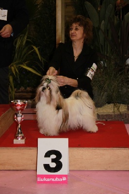 von Lao Tingri - CACIB à Bourg en Bresse